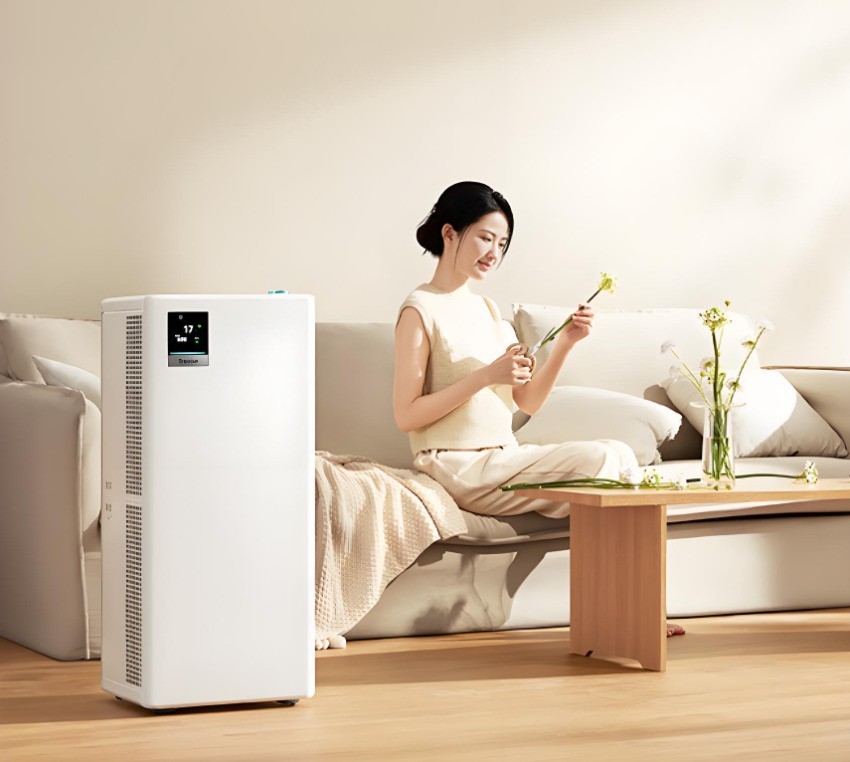 ��ȩ���ǻ��Ǽ��߲�Ʒ��������������ȩ���ܿ�ָ�ϡ���