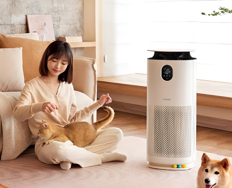 ��ȩ���ǻ��Ǽ��߲�Ʒ��������������ȩ���ܿ�ָ�ϡ���