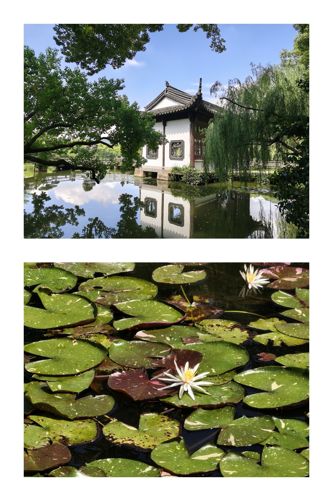 REDMI Note 15 Pro+������⣺ȫ��Ӳ�ˣ������������Խ��֮��