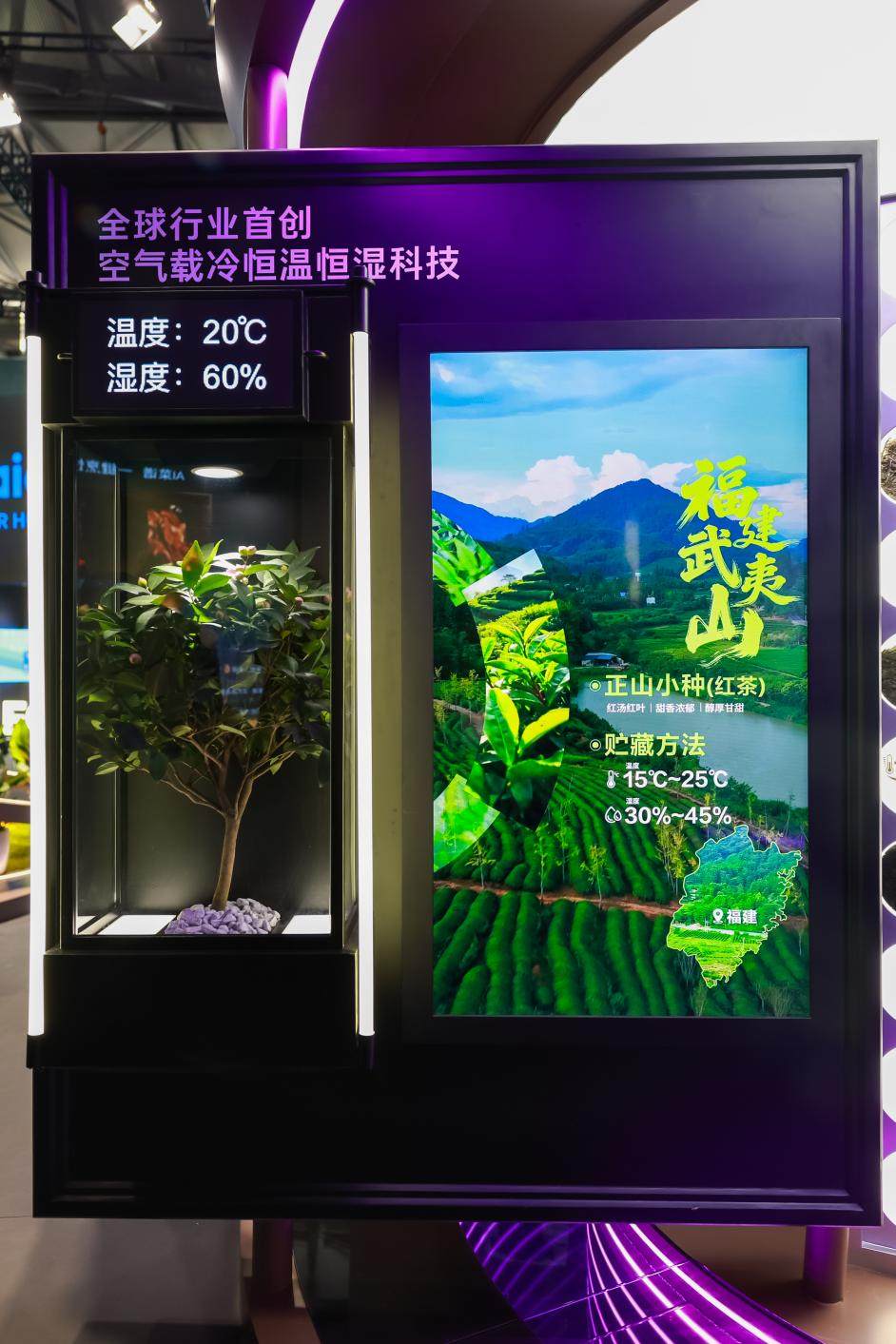 �»����������۲�Ҷ�񣺡���Ȱʽ���¡������г�