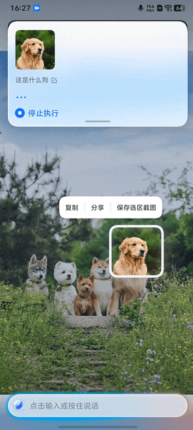 iQOO Neo11ȫ������ ��׼��ҲҪȫ��Pro