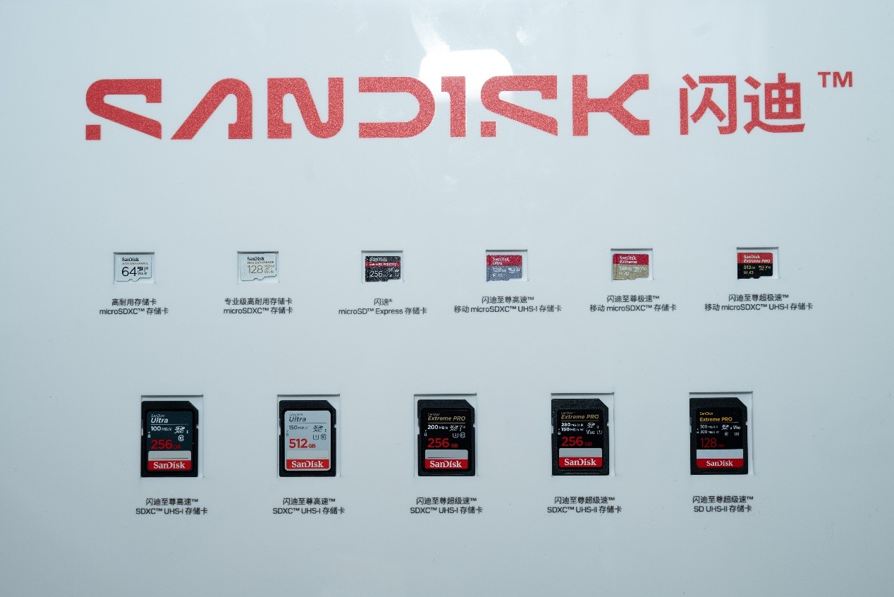 ����Яȫ�����洢�����������CPSE������2025���������ܰ�������̬