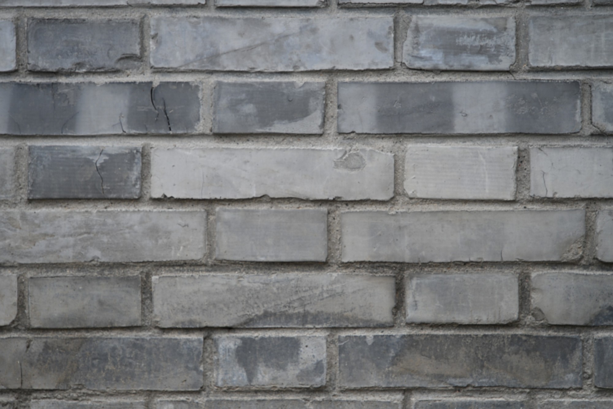 ��׽΢������ϸ��֮�� ����FF 180mm F4.5 CA-Dreamer Macro 1.5X��ͷ����