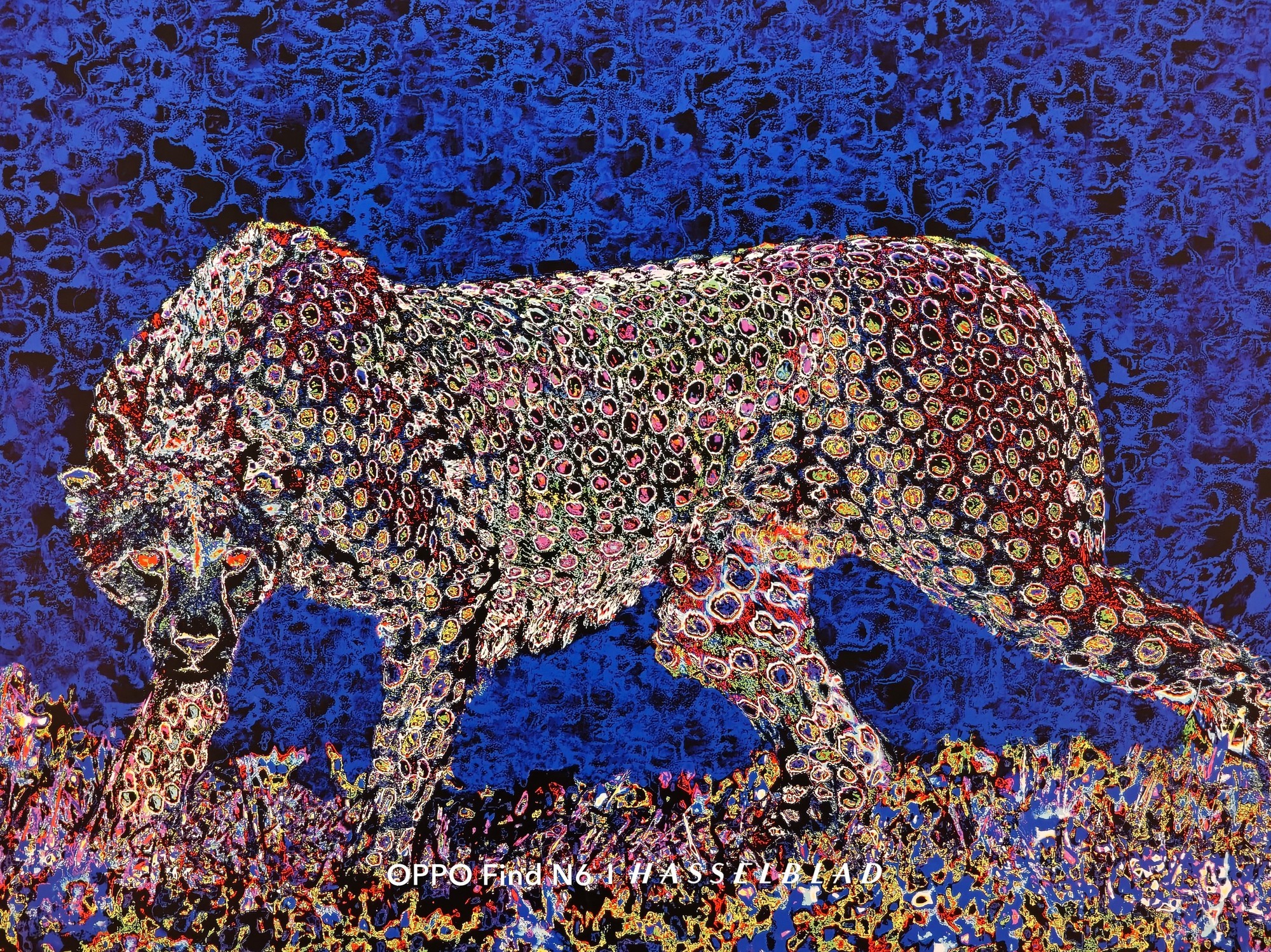 敢把2亿像素塞进折叠屏?OPPO Find N6影像实测来了