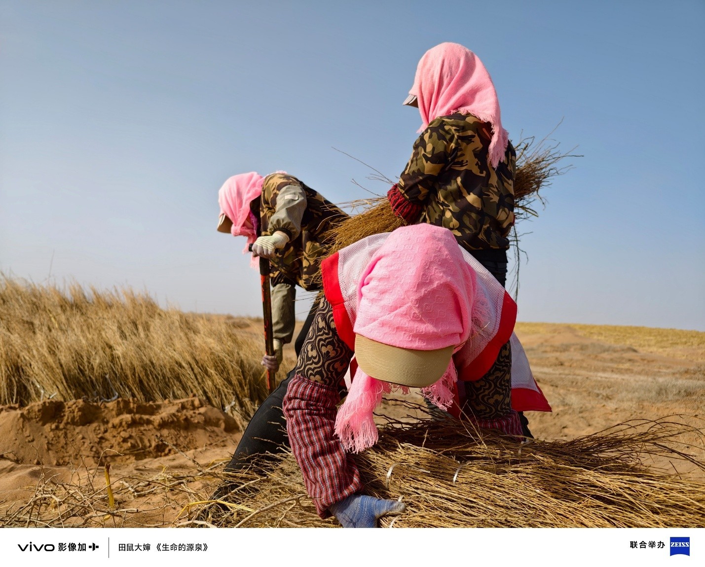 ��ʮ���Ȱ�ͬ��,vivo Vision��������Ӱ��ʢ��ʢ��ٰ�