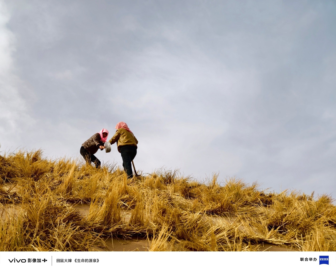 ��ʮ���Ȱ�ͬ��,vivo Vision��������Ӱ��ʢ��ʢ��ٰ�