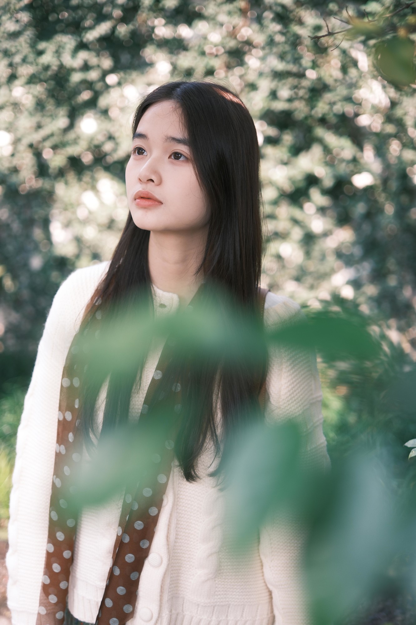 �������� ���ʳ��� ��ʿX-T50��Ӱ����