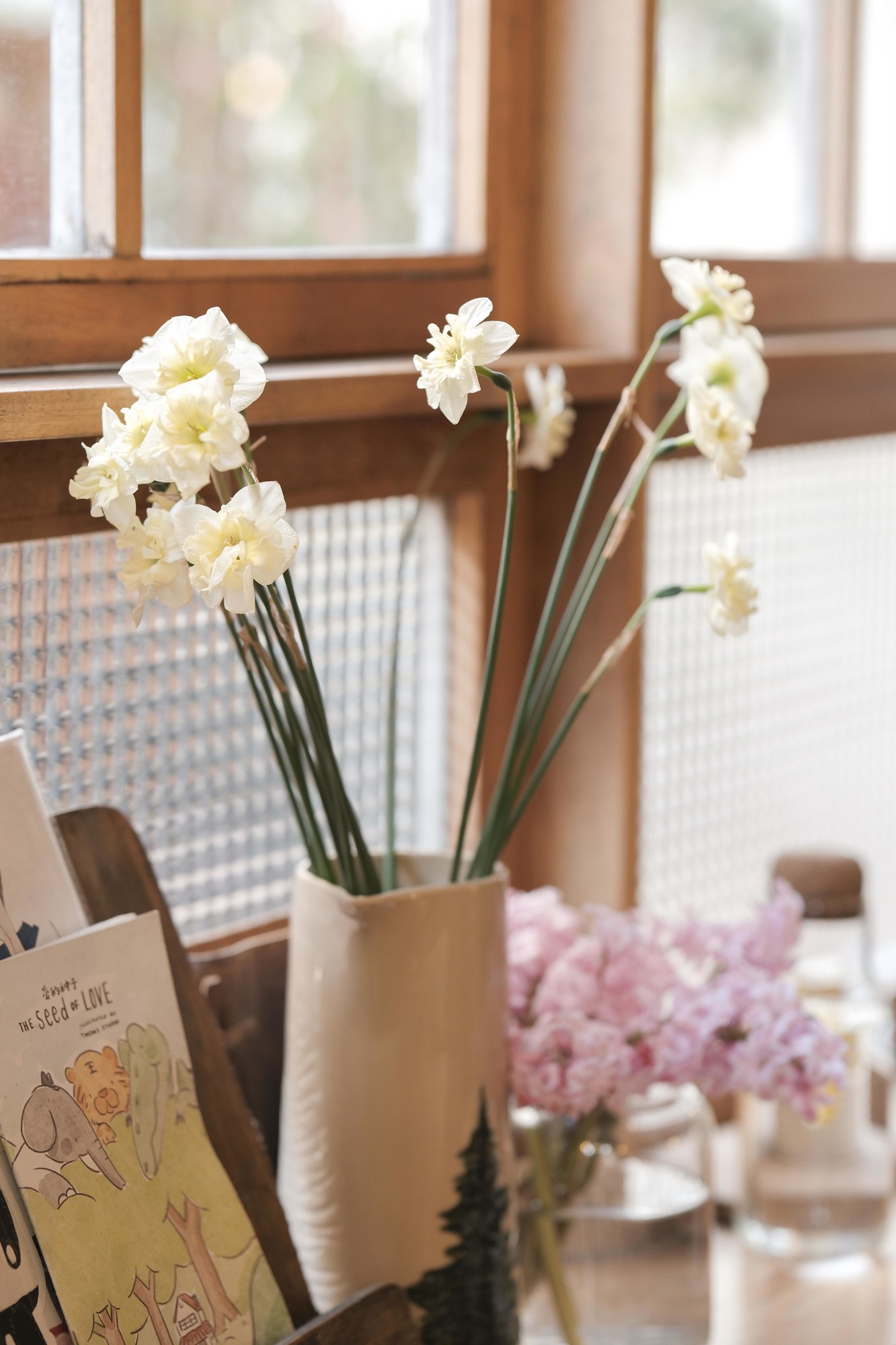 �������� ���ʳ��� ��ʿX-T50��Ӱ����