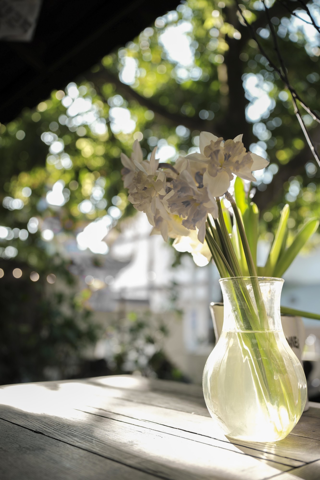 �������� ���ʳ��� ��ʿX-T50��Ӱ����