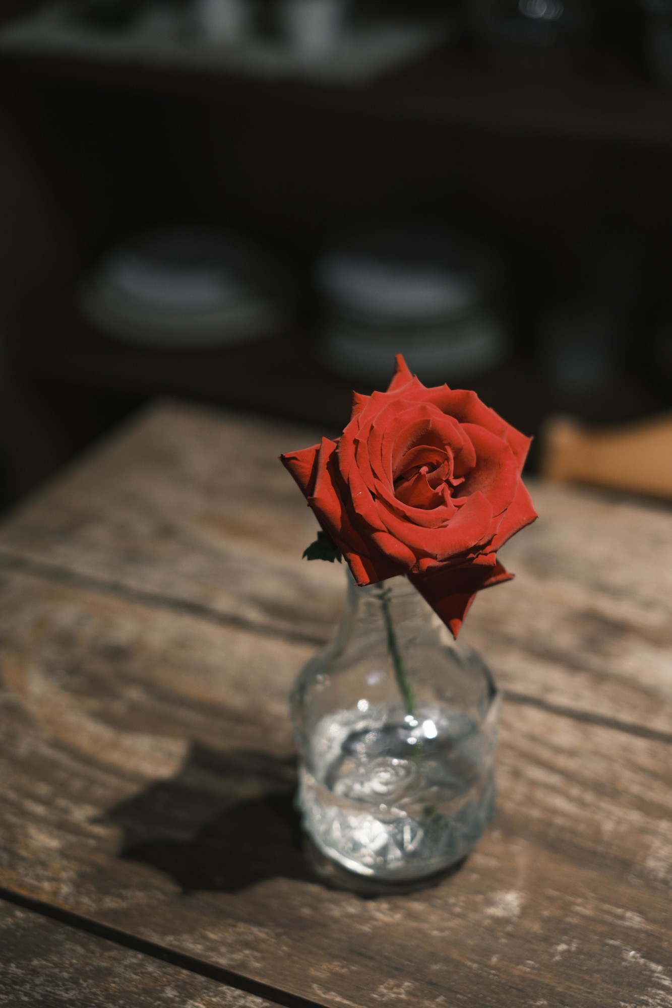 �������� ���ʳ��� ��ʿX-T50��Ӱ����