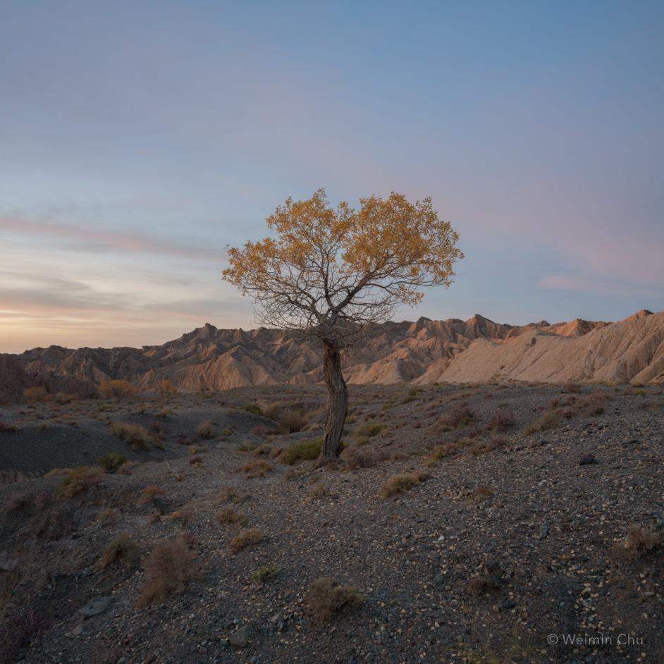 ���س�100�򣬹��մ�ʦ�� 2026 ����ȫ������