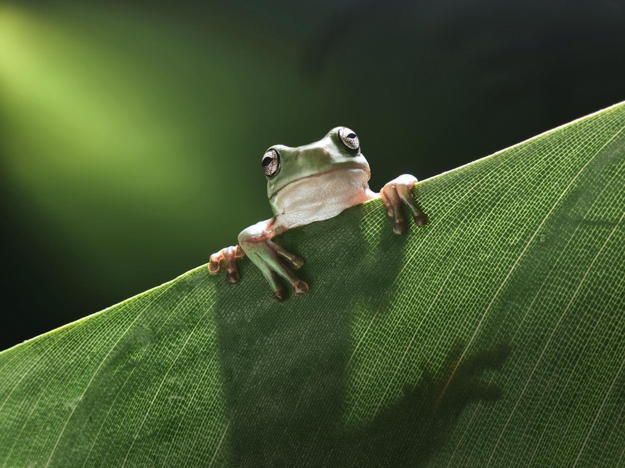 �޸��ۺۣ�����ƽ����ȫ��OPPO Find N6�����۵����޸��ۺ�������