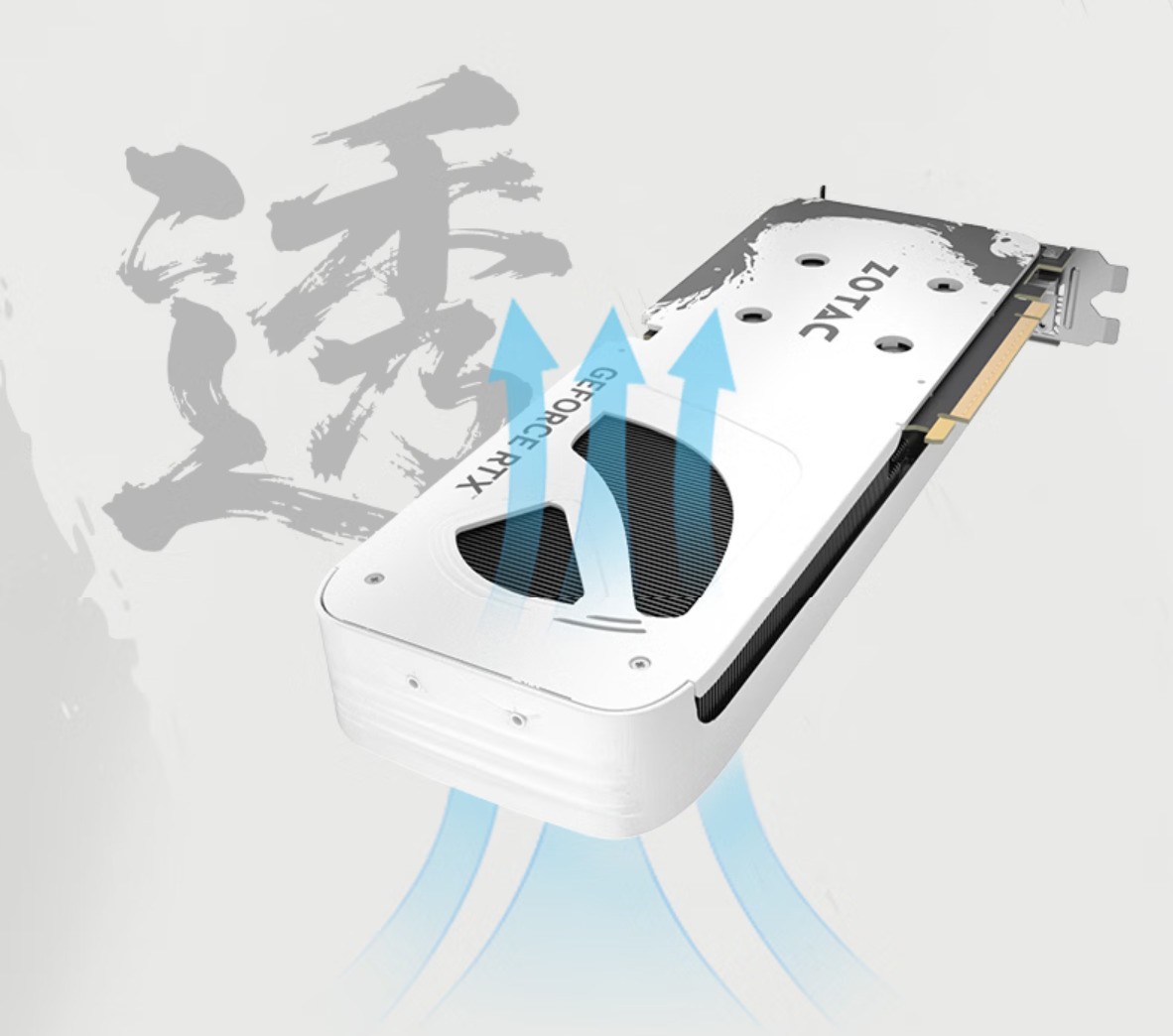 618入手显卡不纠结 RTX 5060和5060 Ti买哪款好 一篇文章告诉你