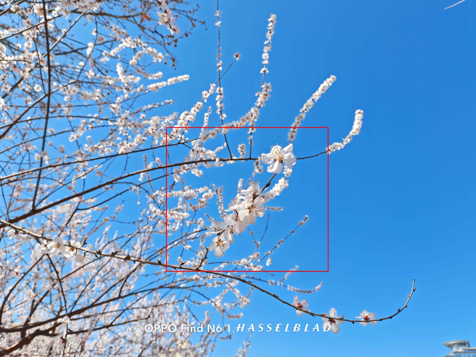 敢把2亿像素塞进折叠屏?OPPO Find N6影像实测来了