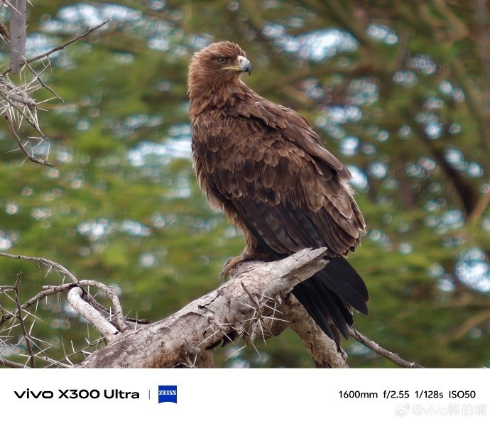 ȫ�ܾ��ް�vivo X300 Ultra�����ᶨ�� 3��30����ѹ�ֻ��콢Ȧ