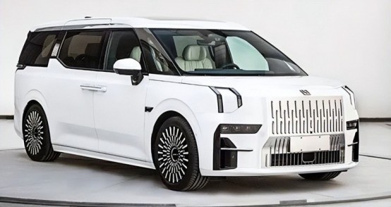 �������������յĶ�̥��ͥ����ԴMPV�Ƽ������ղ�����ս��
