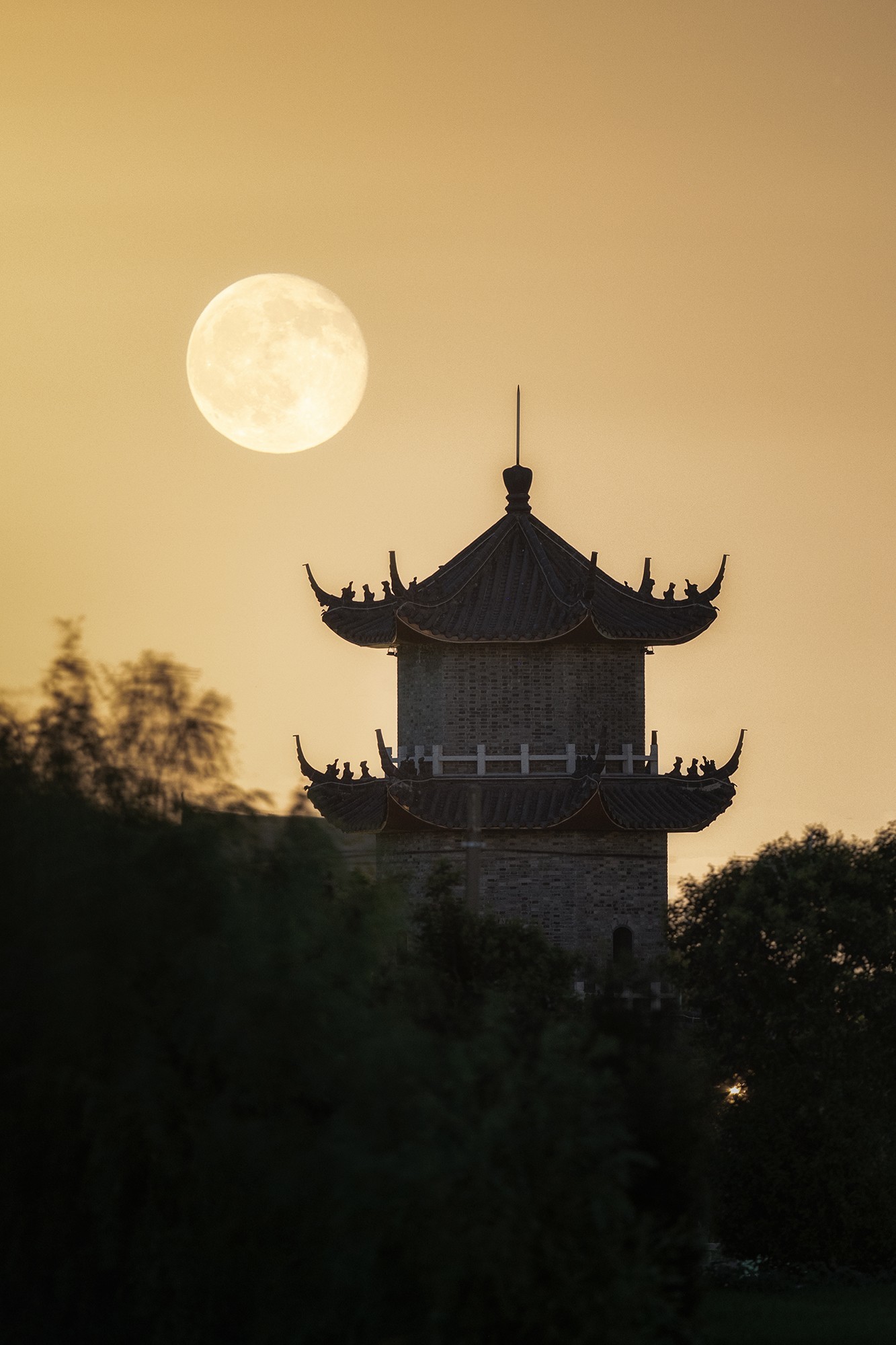 与尼康共赴中秋之约,珍藏团圆光影