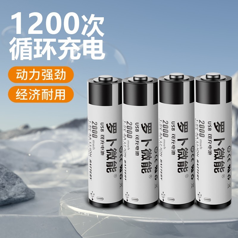 罗卜微能 恒压大容量快充 锂电池