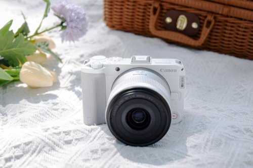 视频专精+色彩出众：6000元内微单榜单，5款拍人好看微单