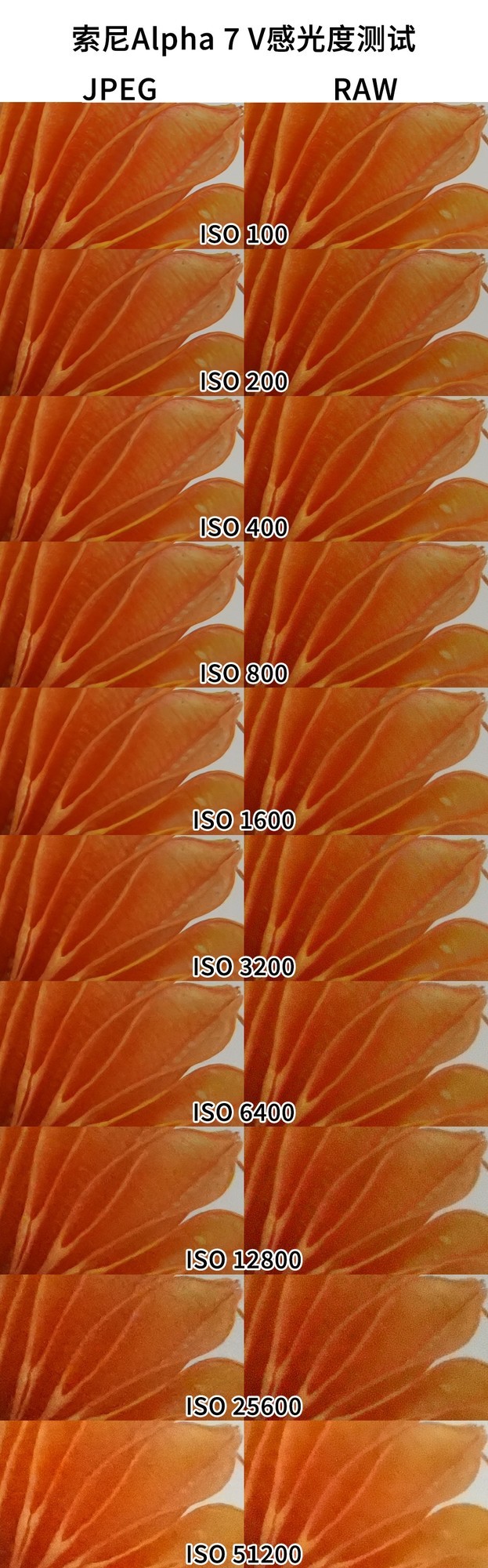 索尼Alpha 7 V评测:全面进化的全画幅“水桶机”