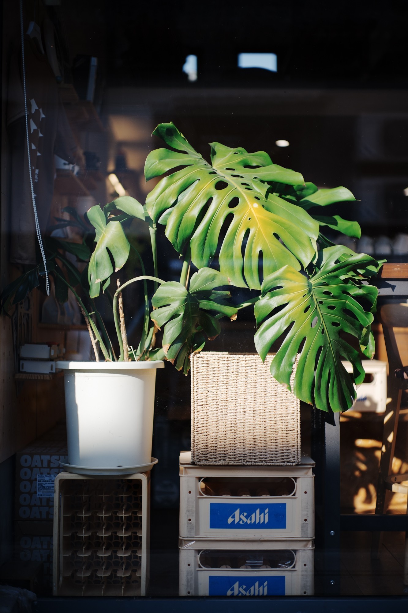 索尼Alpha 7 V评测:全面进化的全画幅“水桶机”