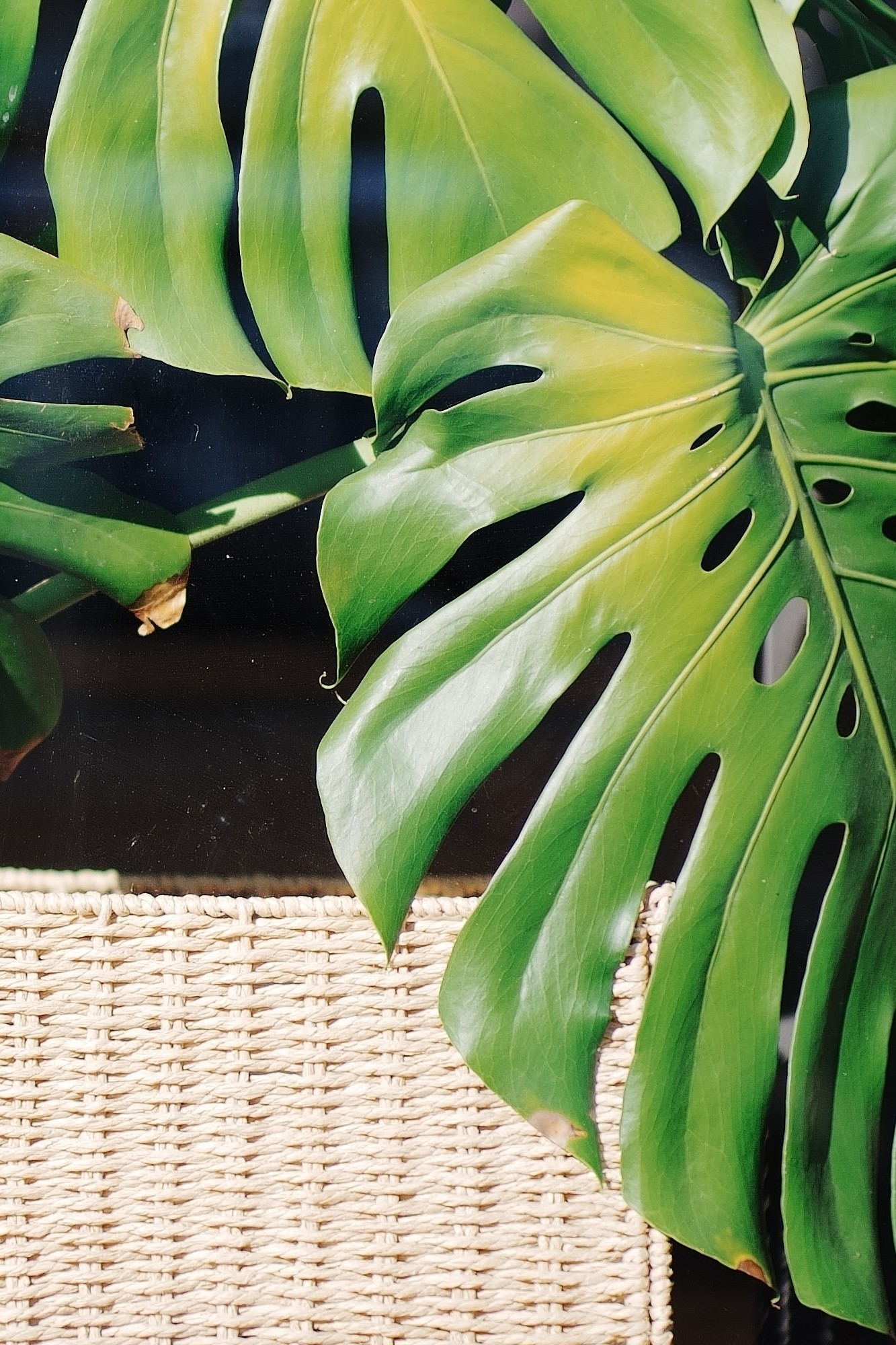 索尼Alpha 7 V评测:全面进化的全画幅“水桶机”