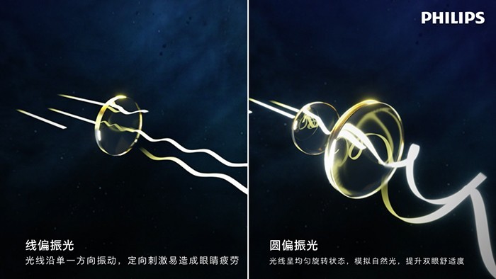 CIO实战洞察:飞利浦圆偏光显示器重塑企业采购逻辑