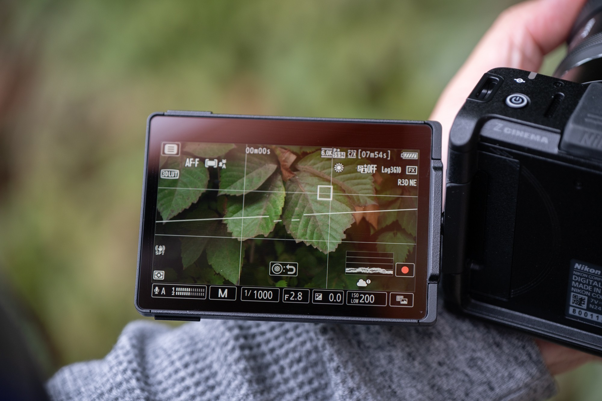 ˭˵��Ӱ��ֻ������Ƶ���῵ZR��̬��Ӱʹ������