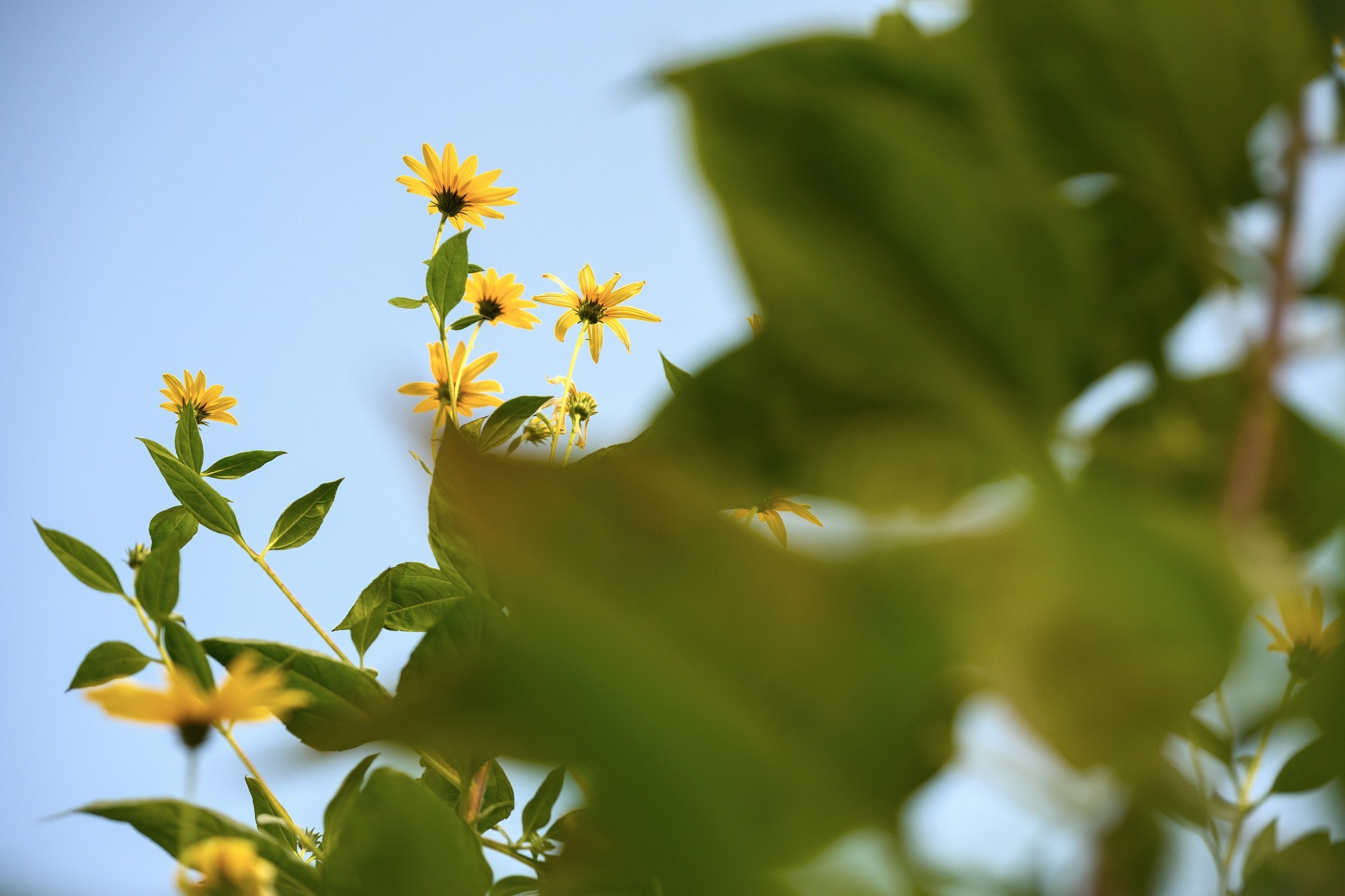 ˭˵��Ӱ��ֻ������Ƶ���῵ZR��̬��Ӱʹ������