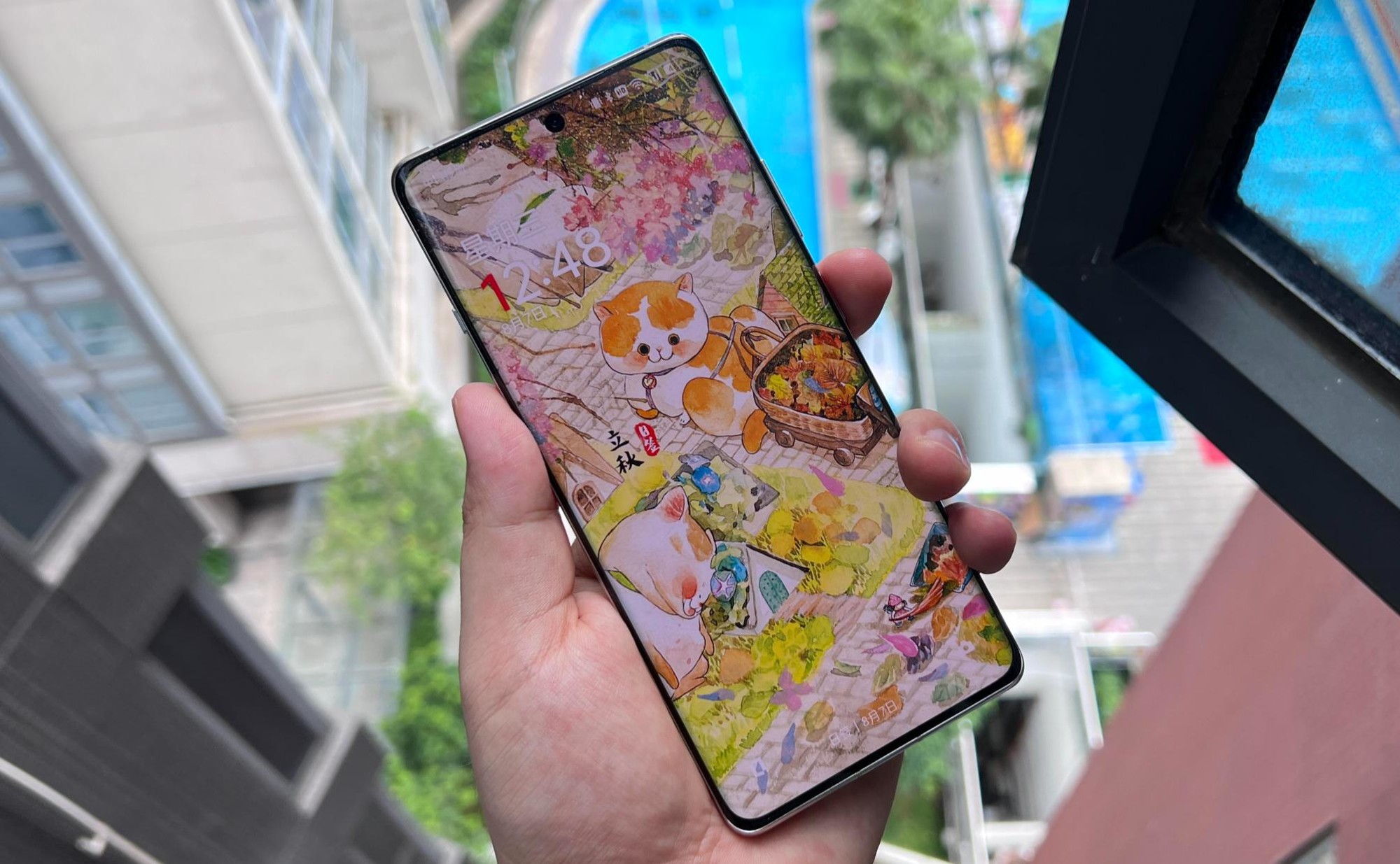 手机买对不买贵,8月可“闭眼入”的3款手机,16GB+512GB大跳水