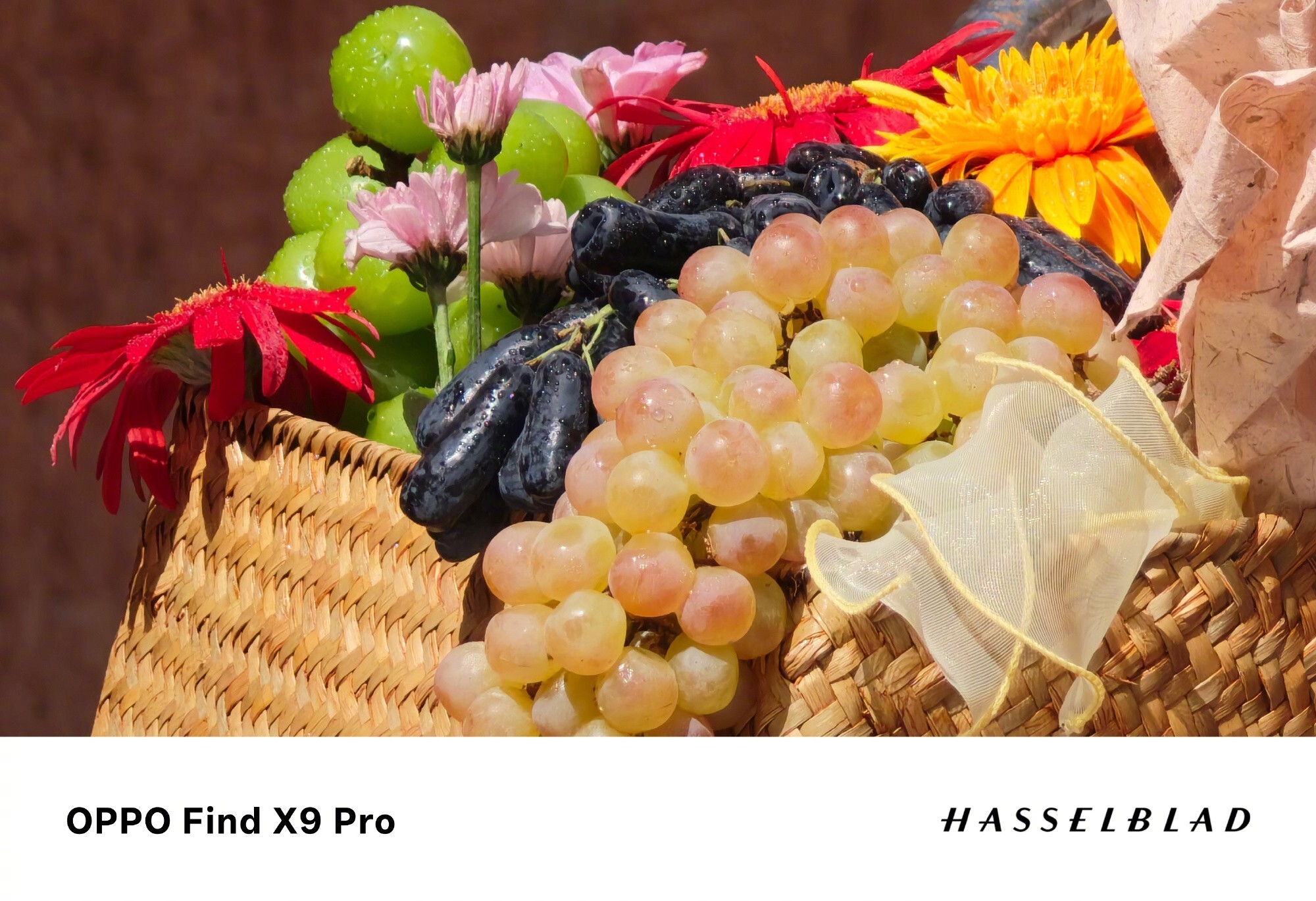 ԭգOPPO Find X9ϵʵ֡ʸ