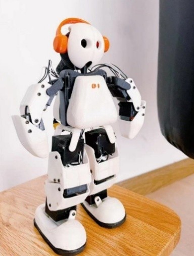 λˡܡʵã2025粩T̨