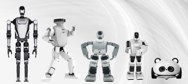 λˡܡʵã2025粩T̨