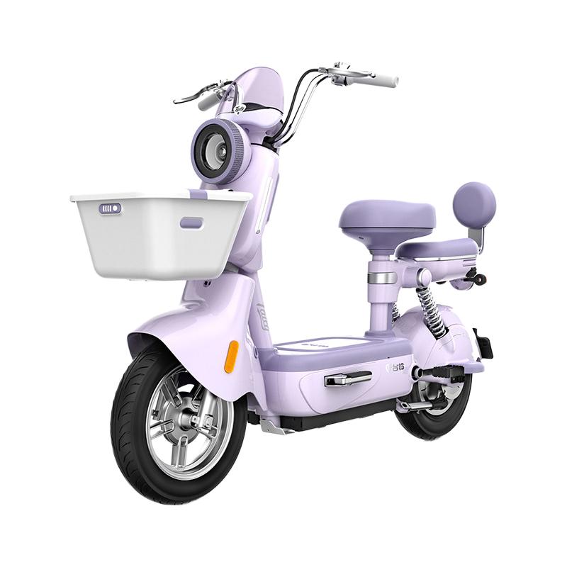 台铃 新欣动长续航新国标电动车代步智能电瓶车