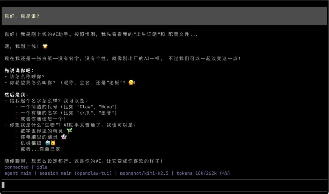 2026年OpenClaw安装教程 ：5分钟无痛上手，小白也能解锁会干活的小龙虾