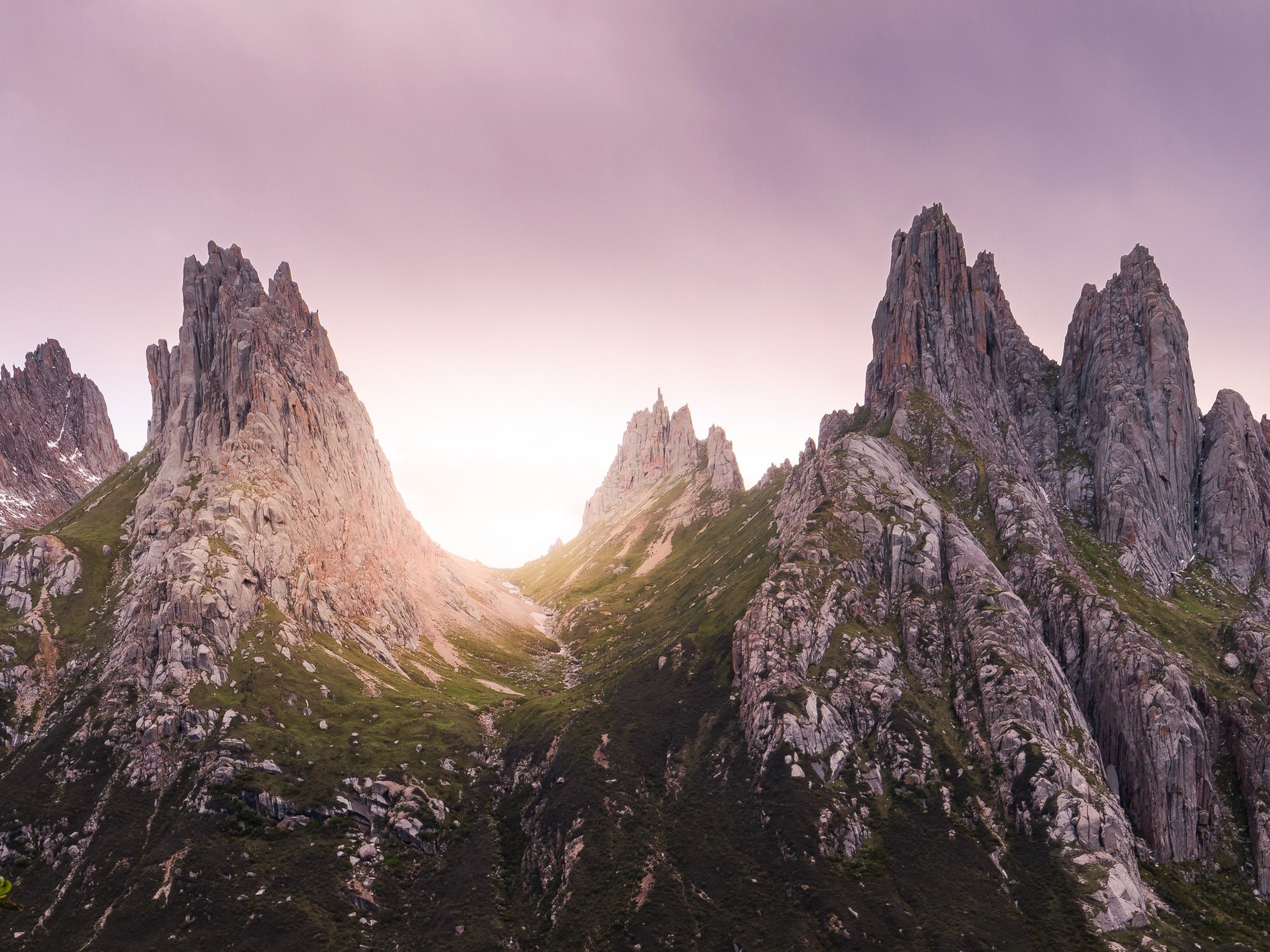 ʹøʿGFX100S II¼걦