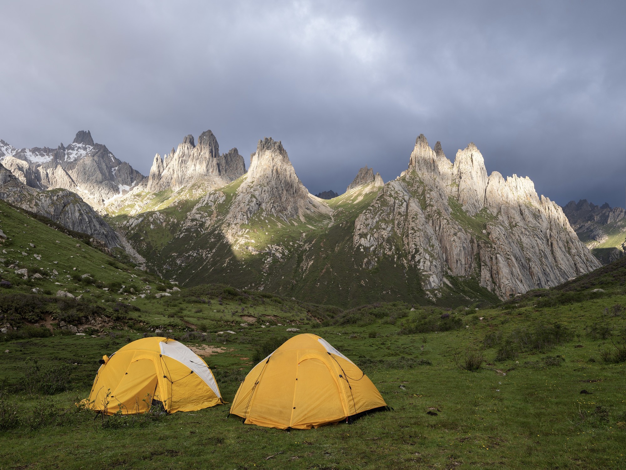 ʹøʿGFX100S II¼걦