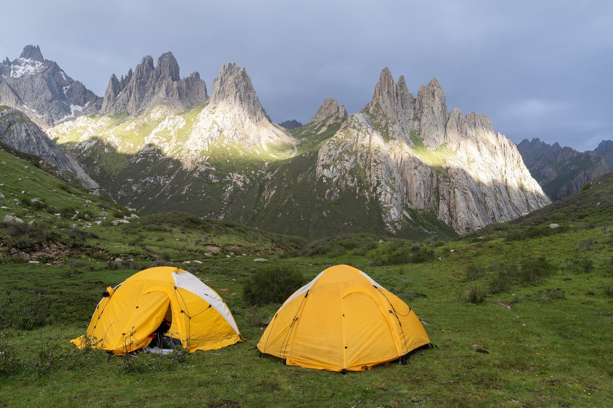 ʹøʿGFX100S II¼걦