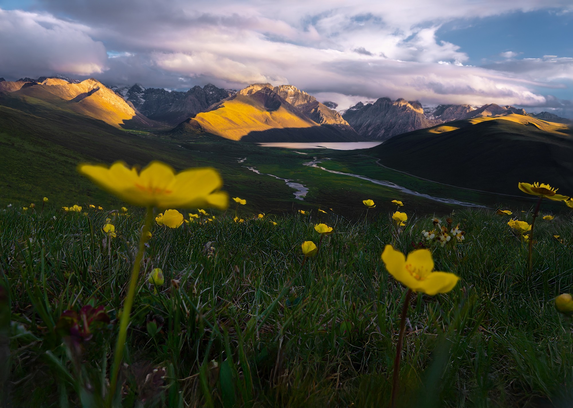 ʹøʿGFX100S II¼걦