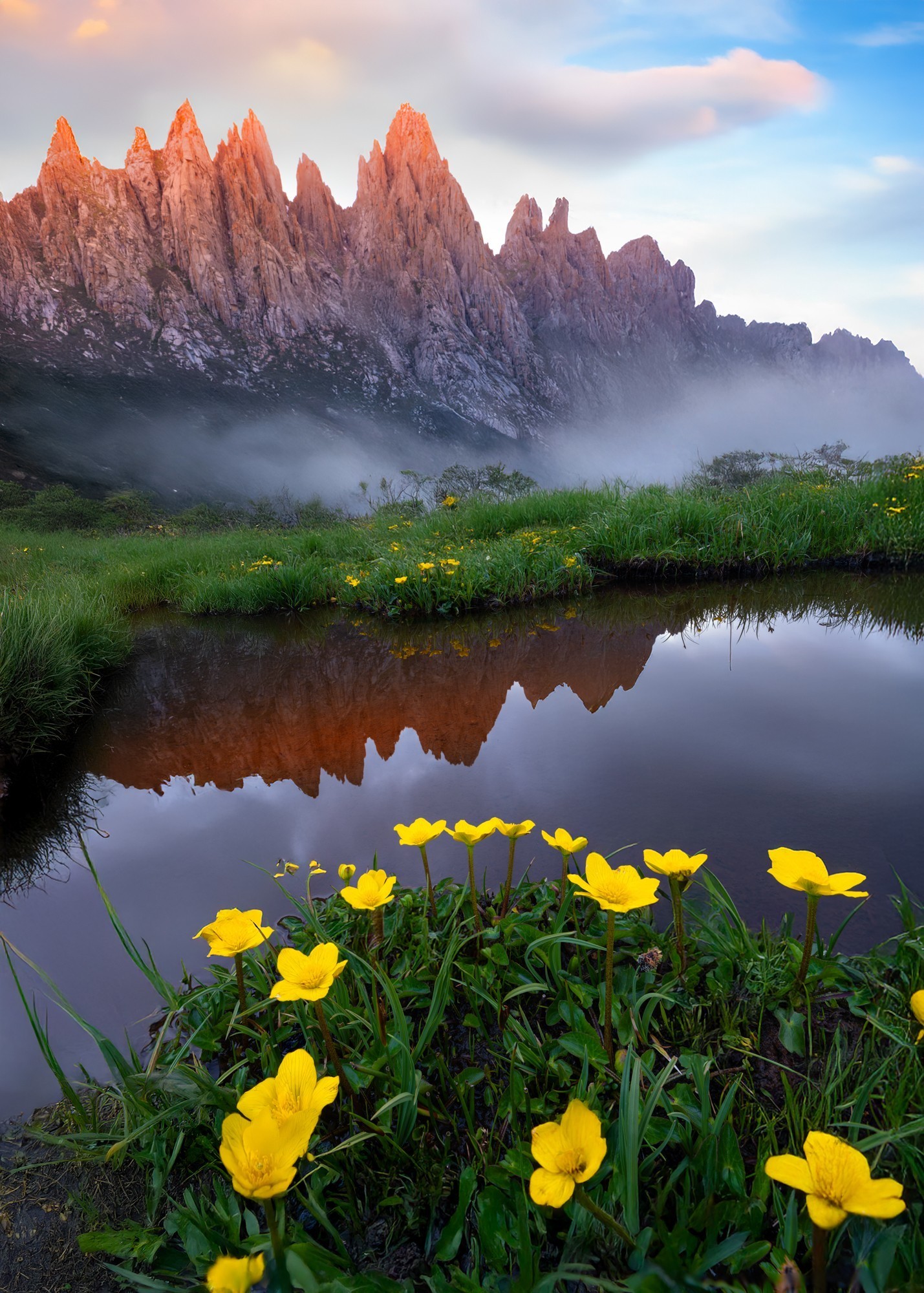 ʹøʿGFX100S II¼걦