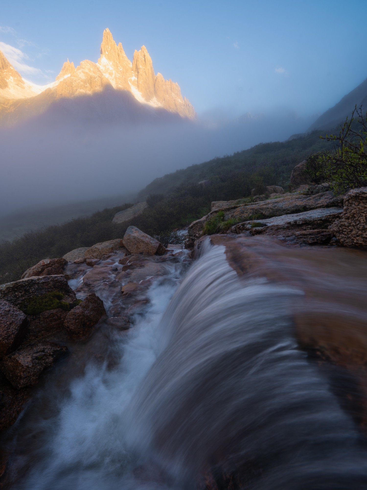 ʹøʿGFX100S II¼걦