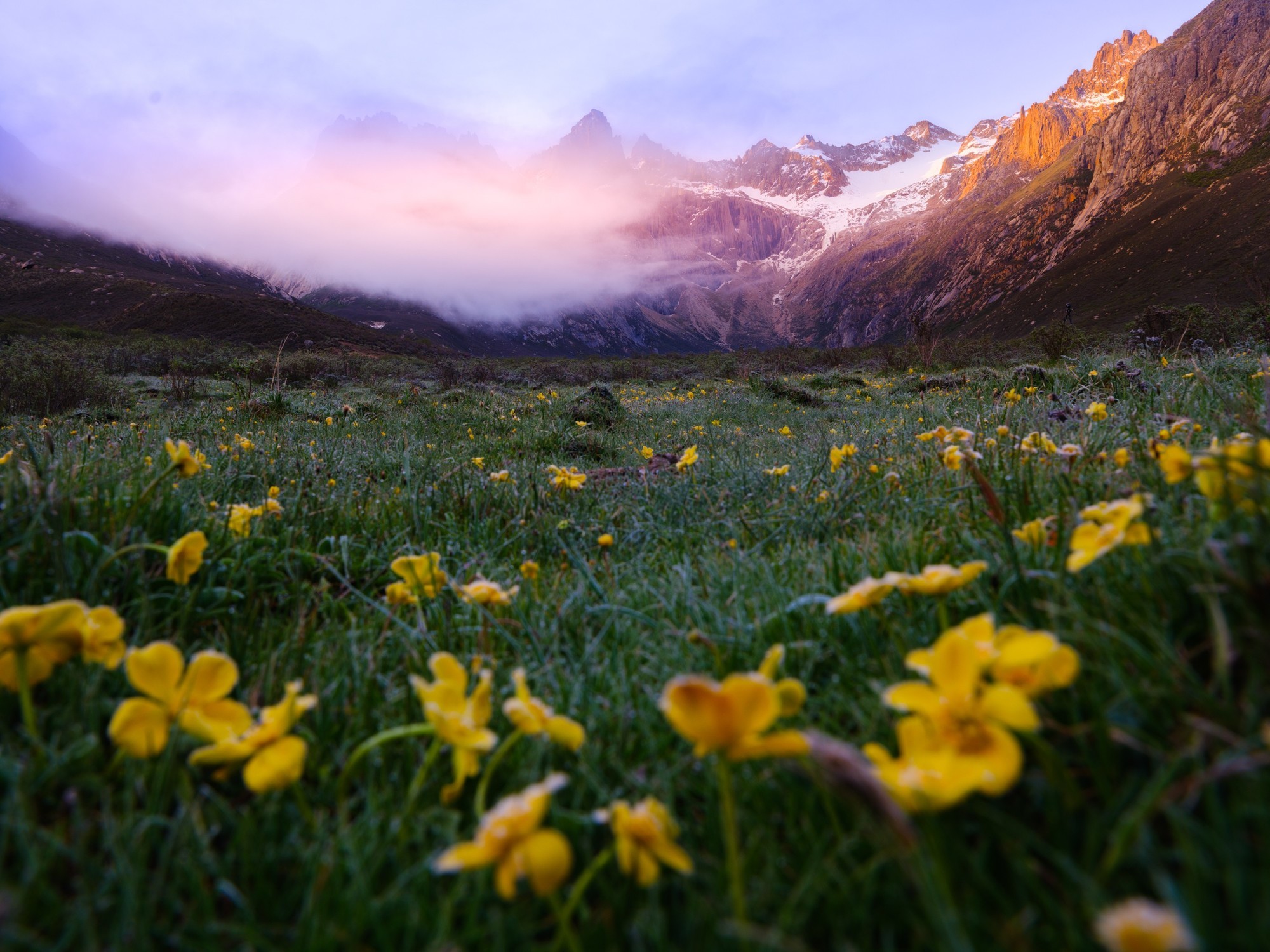 ʹøʿGFX100S II¼걦