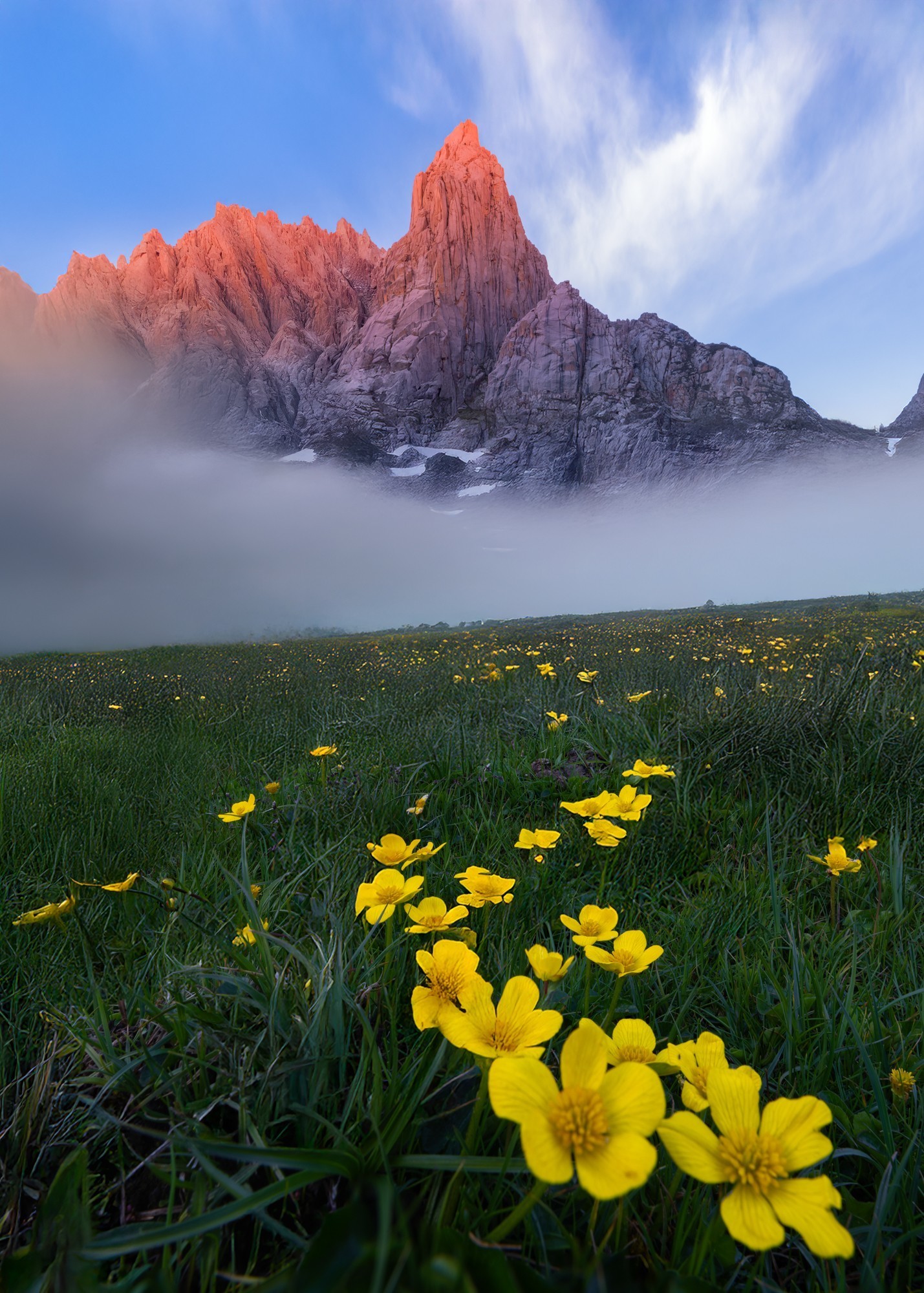 ʹøʿGFX100S II¼걦