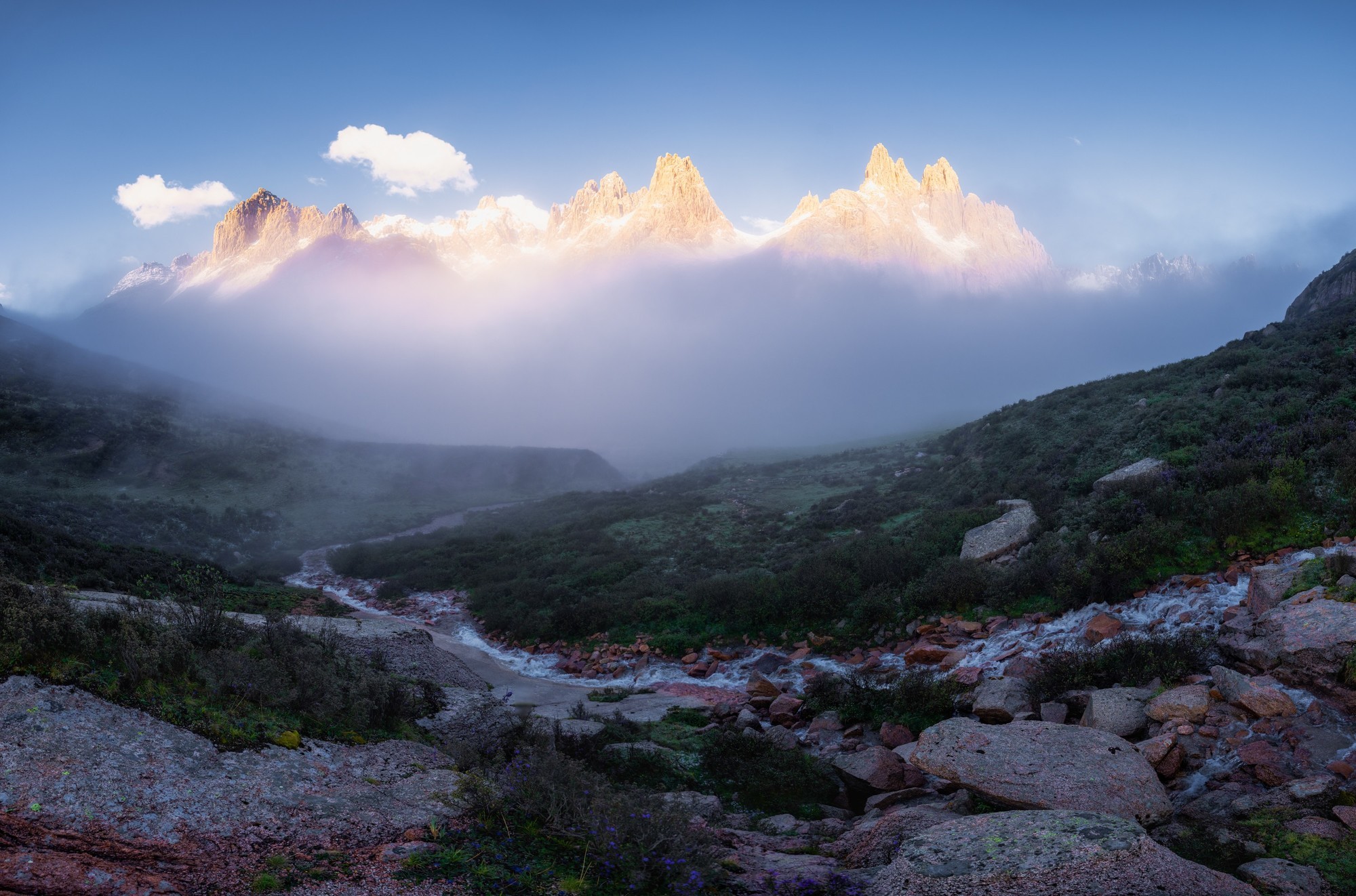 ʹøʿGFX100S II¼걦