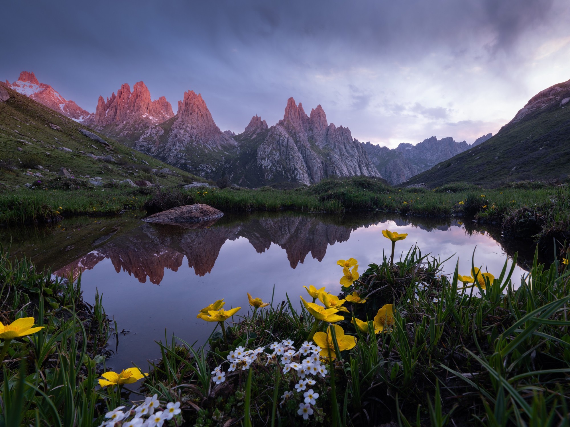 ʹøʿGFX100S II¼걦