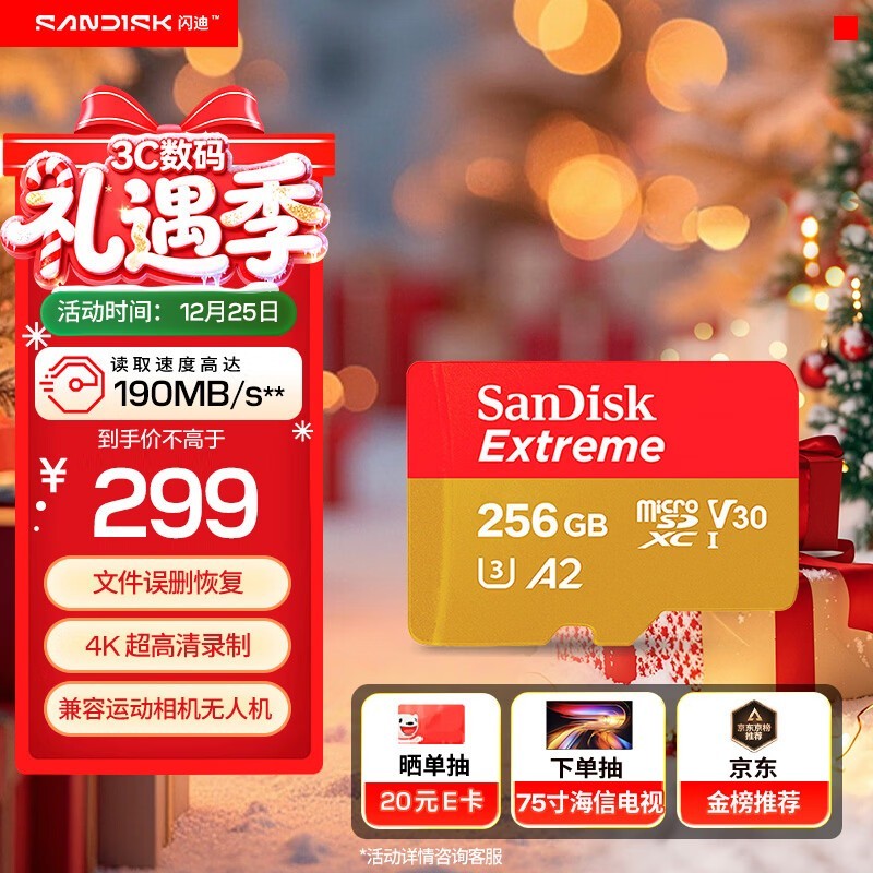 闪迪256GB存储卡限时289元