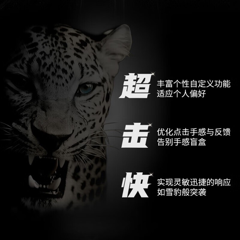 罗技 GPW5 轻量化 无线游戏鼠标  GPW5代 雪豹