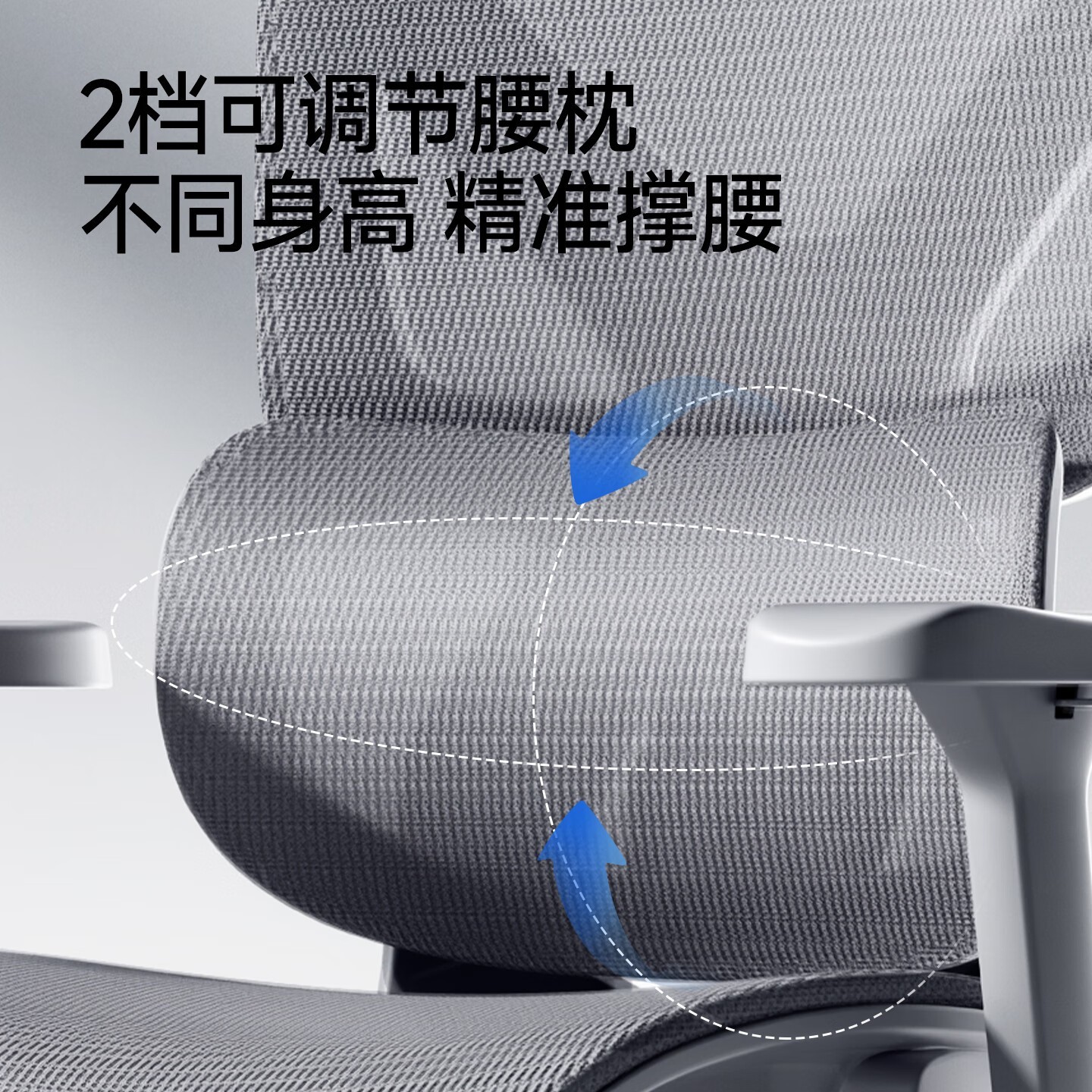 ������B15���幤ѧ�Σ�����335Ԫ��