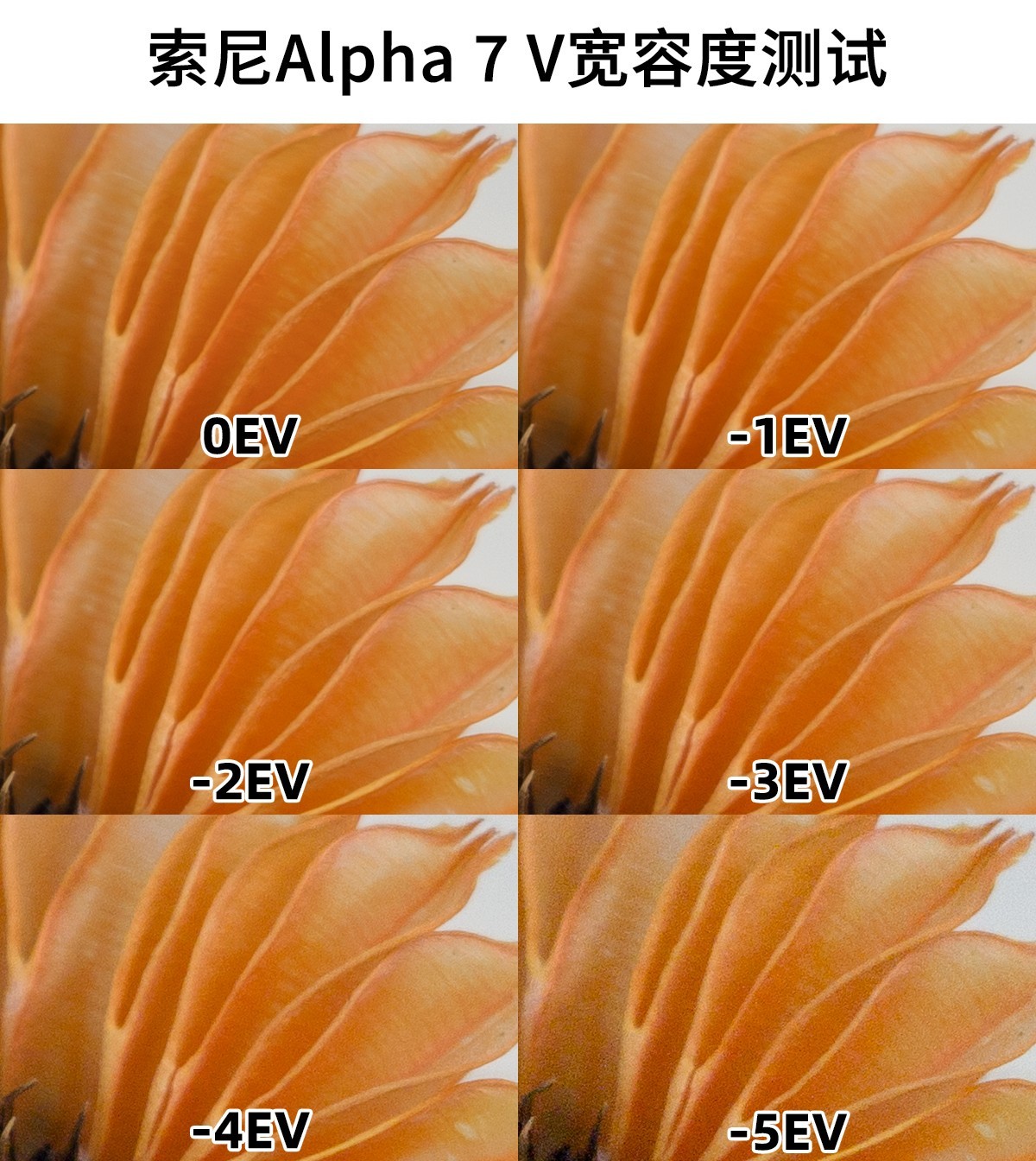 索尼Alpha 7 V评测:全面进化的全画幅“水桶机”