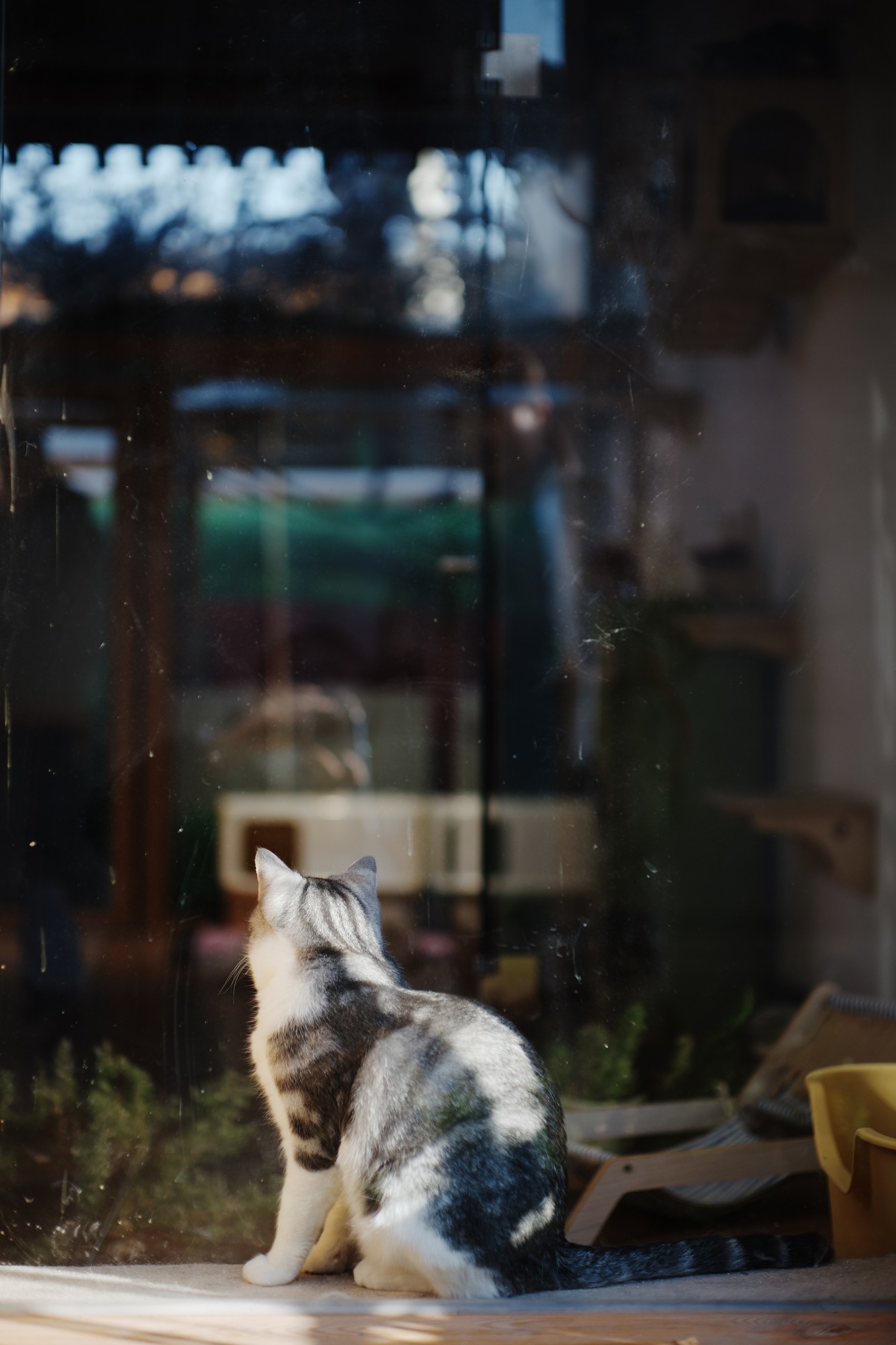 索尼Alpha 7 V评测:全面进化的全画幅“水桶机”